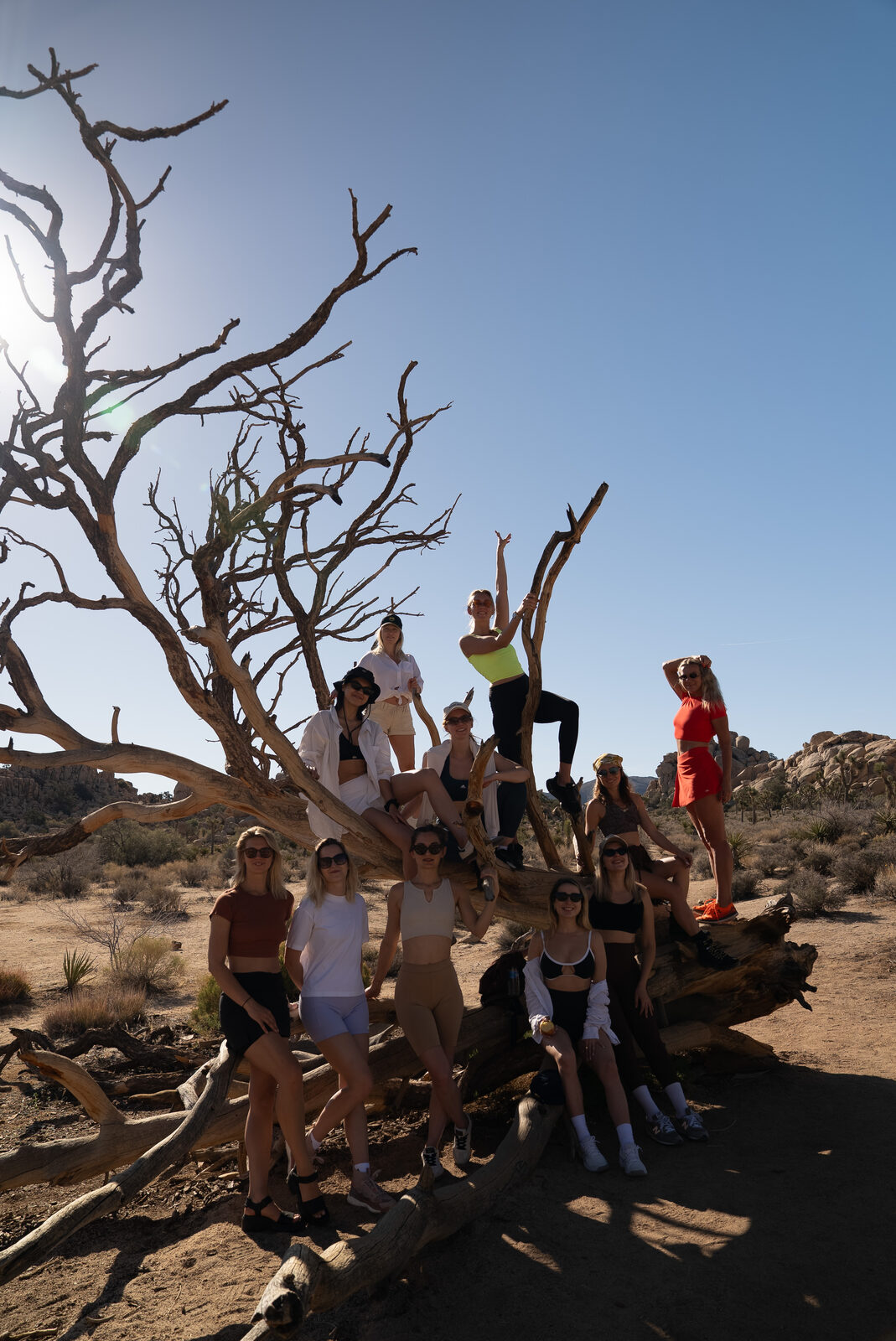 Творческая практика в кругу